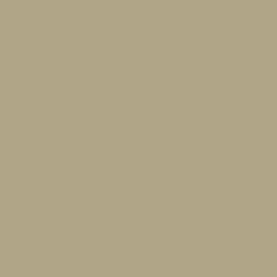 Intonaco Fine a Calce per Decorazione Interna ed Esterna - TRADIPLUS 20 x 15 kg Palermo - Beige
