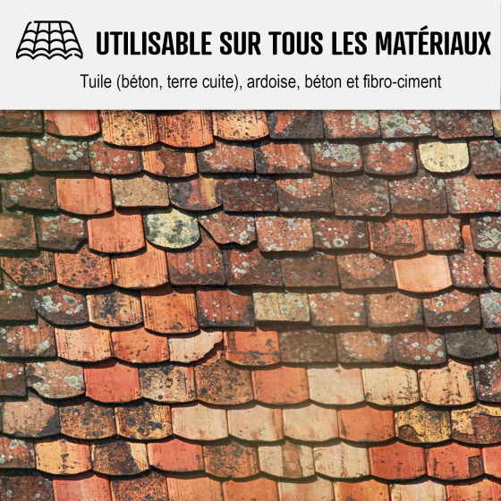 nettoyage de toiture - NET'TOIT