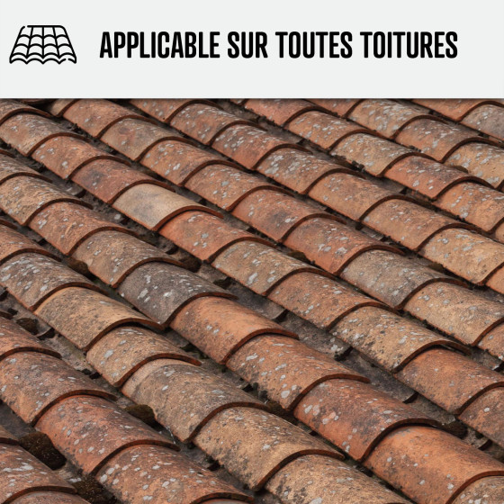 prix nettoyage toiture - NET'TOIT