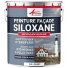 Peinture Siloxane - ARCAFAÇADE SILOXANE
