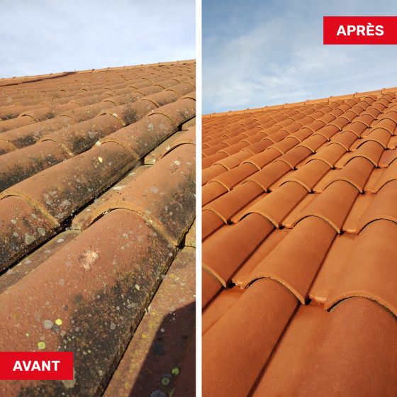Produit nettoyant toiture rapide et puissant : NET'TOIT