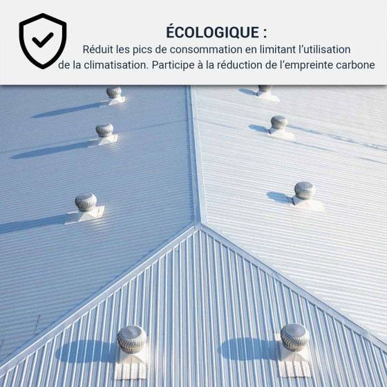 Coolroof, Peinture anti chaleur toit métallique : Arcareflect Antico